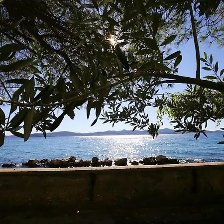 Seafront - Directly At The Zadar